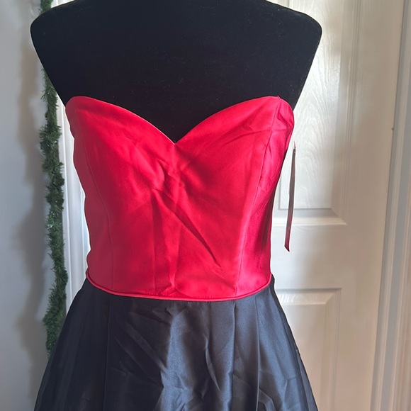 Roses Stacy Skylar - Picture 2 of 16